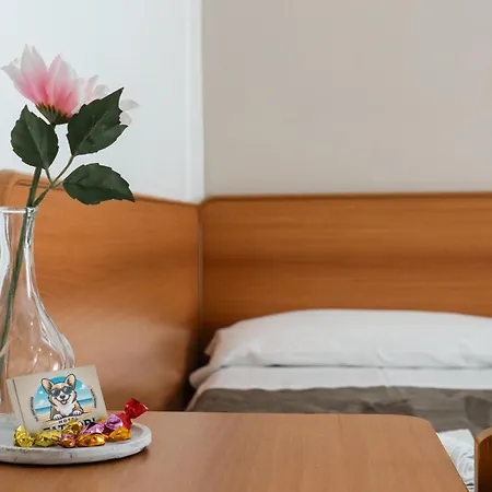 Fattori Otel Cesenatico